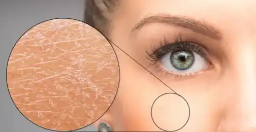 How does ethylhexyl ferulate provide UV protection?
